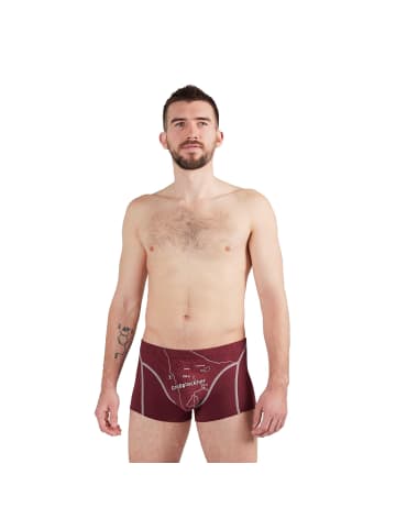 EIN SCHÖNER FLECK ERDE Boxershort 1er Pack in Großglockner (Rost)