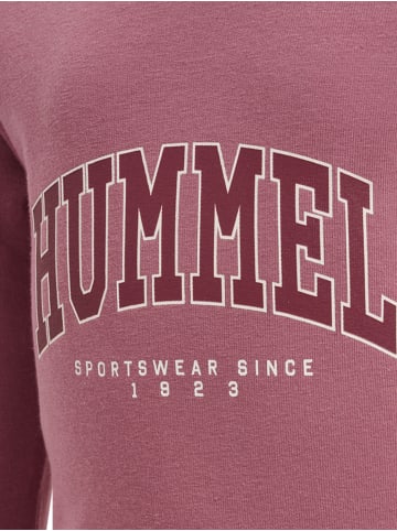 Hummel Strampler Hmlfast Jungen in MESA ROSE