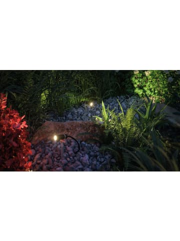 paulmann Outdoor Plug & Shine Spotlight Plantini 3000K 1,4W 24V 45°Anthrazit