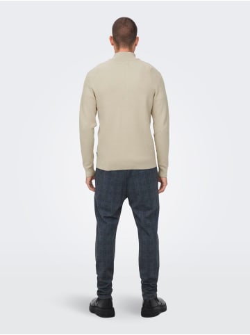 Only&Sons Freizeit Pullover ONSPHIL Polo Strick Sweater in Beige-2