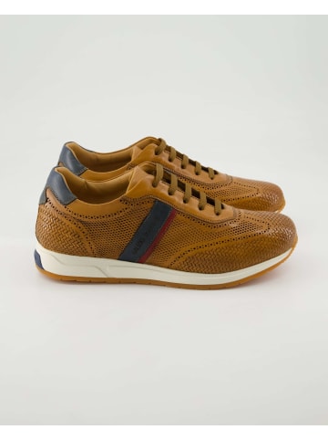 Galizio Torresi Sneaker low in Braun
