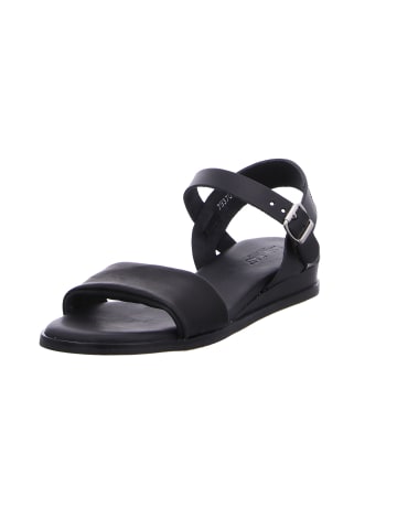 Red Rag Schnürschuh in schwarz