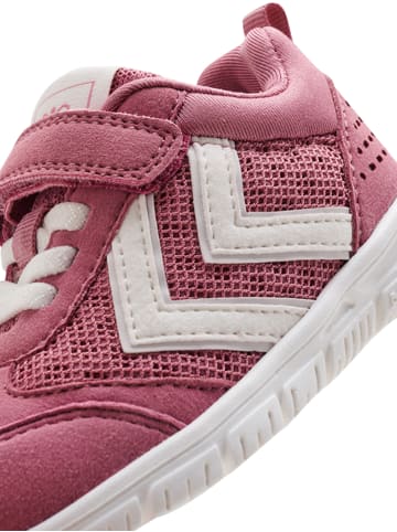 Hummel Schnürsenkel Sneaker Crosslite Infant Lebensstil Jungen in HEATHER ROSE
