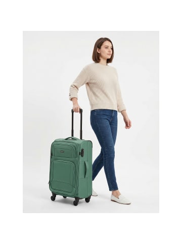 Smartbox Edition 04 4 Rollen Trolley 67 cm mit Dehnfalte in eukalyptus
