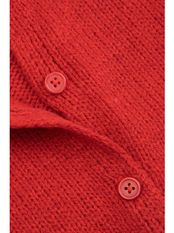 Coccodrillo Pullover in rot