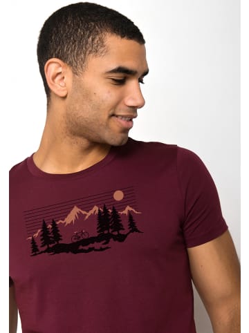 GreenBomb Guide Bike Mountain Pines in Samt Regen