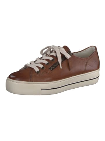 Paul Green Sneaker in Cognac
