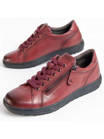 Purapiel Schnürschuhe Ailina in Bordeaux