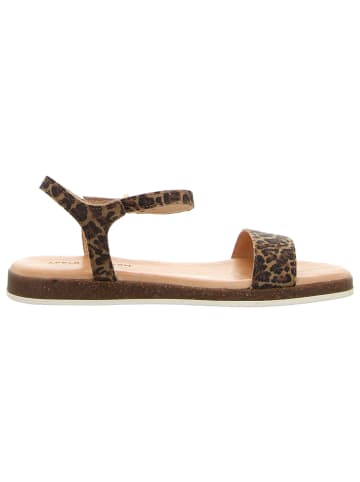 Apple of Eden Sandalette in braun