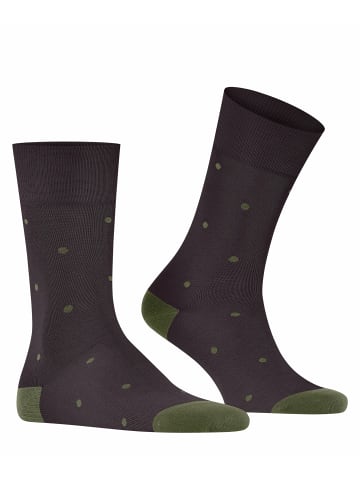 Falke Socken Dot in Dewberry