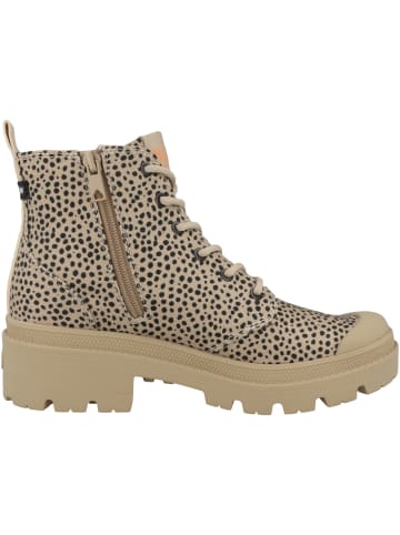 Palladium Schnürboots Pallabase Safari in beige