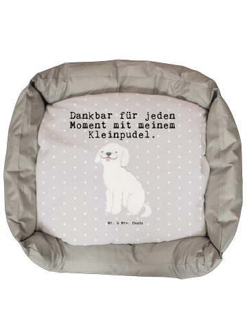 Mr. & Mrs. Panda Hundekörbchen Kleinpudel Moment mit Spruch in Grau Pastell