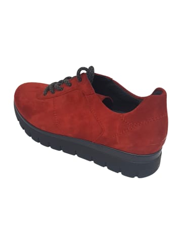Semler Komfort Schnürschuhe in Rot