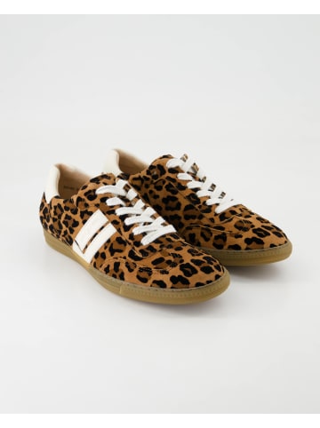 Paul Green Sneaker low in Braun