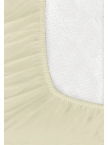 Bierbaum Biber Spannbettlaken 140x200cm Laken Baumwolle in Beige