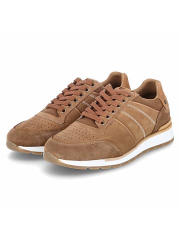 Bullboxer Low Sneaker in braun