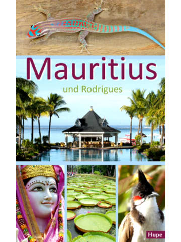 Hupe Buch - Mauritius