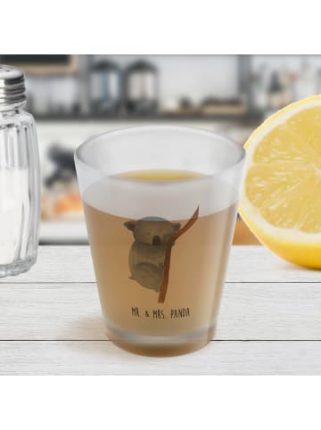 Mr. & Mrs. Panda Schnapsglas Koalabär ohne Spruch in Transparent