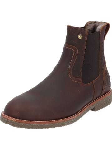PANAMA JACK Chelsea Boots in Castano/Chestnut