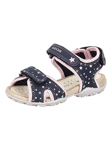 Geox Roxanne  in Marine/Rosa