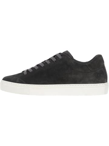 palado Sneakers in grey