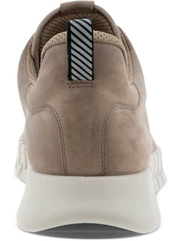Ecco Freizeit Schnürer für Herren in beige