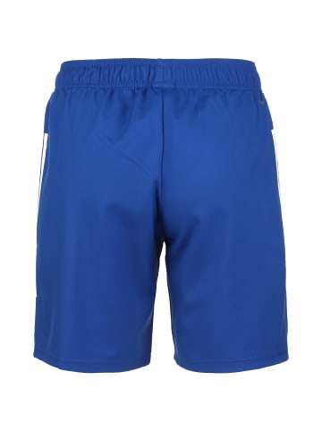 adidas Performance Funktionsshorts Condivo 21 Primeblue in blau / weiß