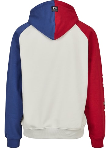 Ecko Unltd. Ecko Unltd. Kapuzenpullover in grey/red/blue