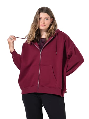 Studio Untold Sweatjacke in weinrot