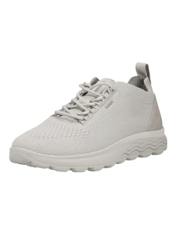 Geox Sneaker Hellgrau
