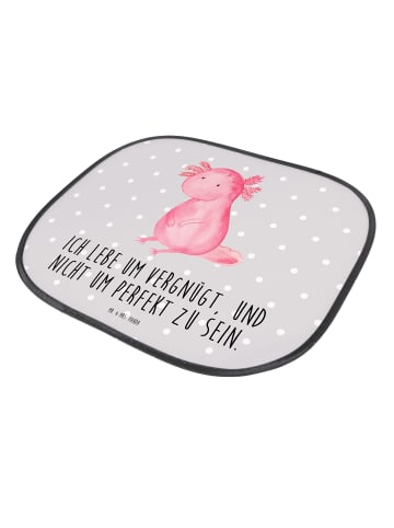 Mr. & Mrs. Panda Sonnenschutz Axolotl Niedlich mit Spruch in Grau Pastell