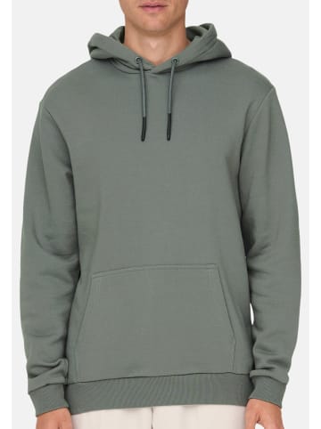 ONLY & SONS Sweatshirt / Hoodie Ceres in Castor gray