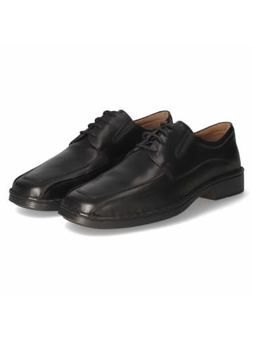 Josef Seibel Schnürhalbschuh in schwarz