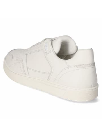 Sioux Low Sneaker TEDROSO in weiß