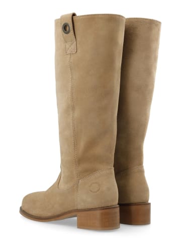 Cashott Stiefel CASVILMA in Mushroom