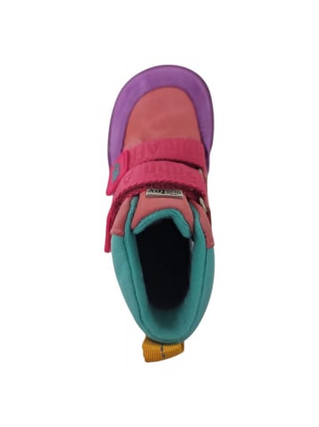 Affenzahn Klettschuh Friendy Eule in Lila