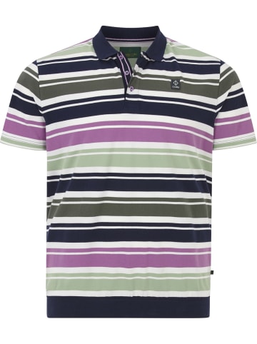 Charles Colby Poloshirt EARL MORTBERT in dunkelblau gestreift