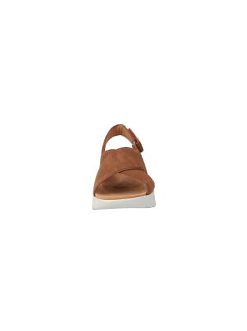 Clarks Keilsandaletten Dashlite Wish in dark tan