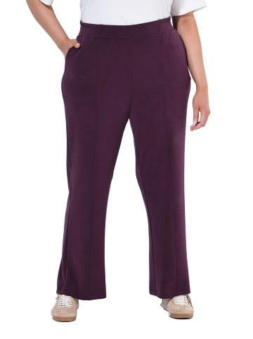 Ulla Popken Schlupfhose in dunkle pflaume