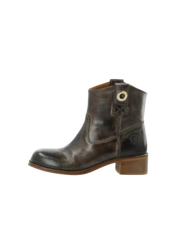 Cashott Stiefeletten CASVILMA in Coffee