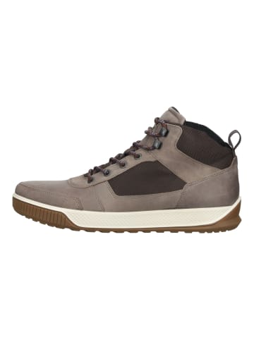 Ecco Sneaker in Taupe/Braun