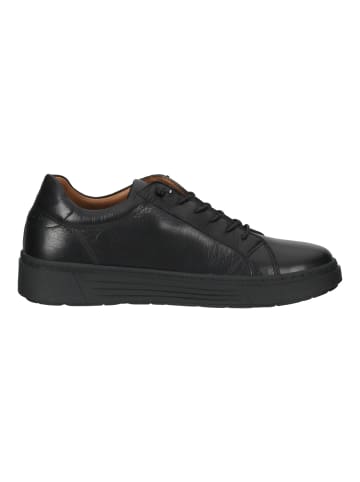 Hush Puppies Sneaker in Schwarz