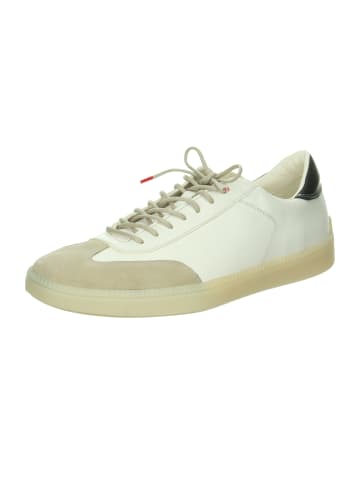 Think! Sneaker Low in weiß