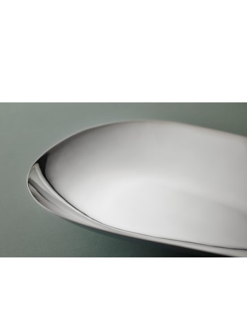 Gense Platte in Glänzender Stahl