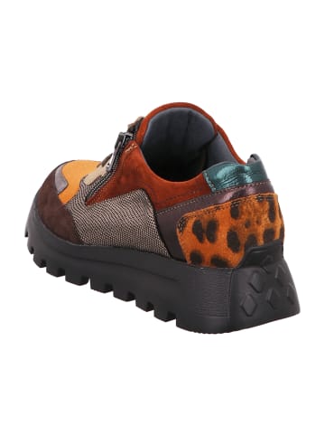 WALDLÄUFER Komfort Schnürschuhe in Braun