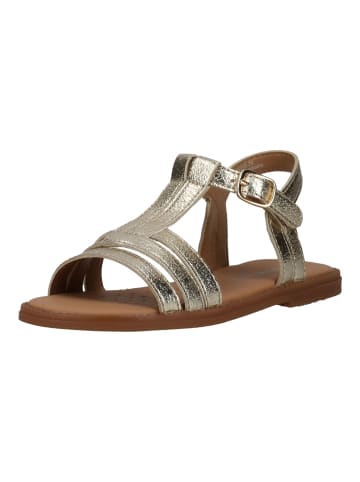 Geox Sandalen in Platinum