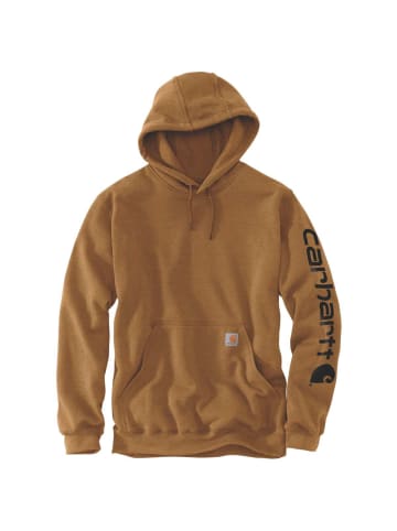 CARHARTT  Kapuzensweatshirt in Braun