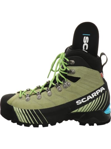 SCARPA Wanderschuh in grün