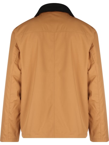 Puma Puma in desert tan