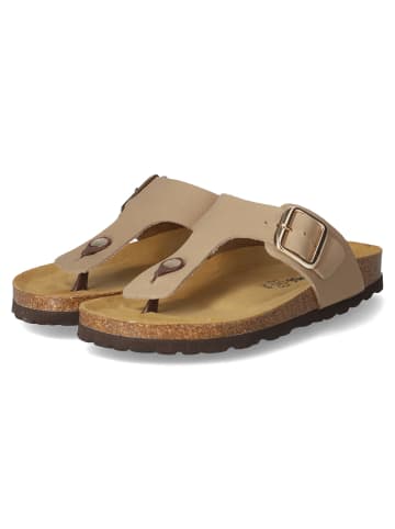 Beliana Zehentrenner in taupe